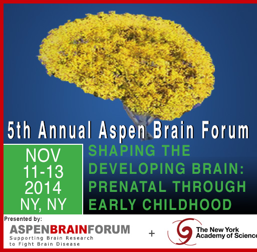 Accelerating Translational Neurotechnology