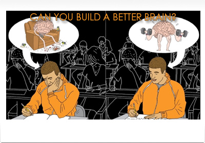 Can You Build a Better Brain