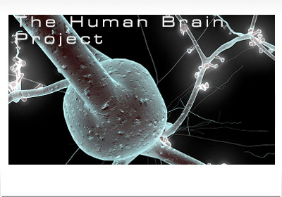 the human brain project