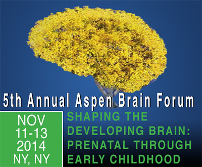 prenatel through early childhood developing brain